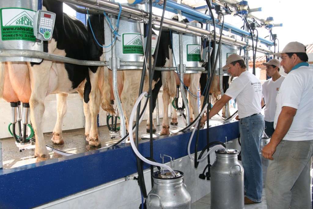 Governo publica decreto que fortalece a cadeia produtiva do leite no país