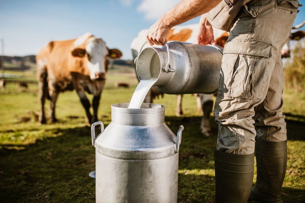 Ministério da Agricultura anuncia medidas para ajudar produtores de leite