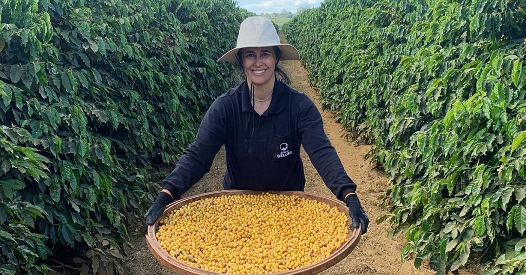 Com 87% do agronegócio formado por pequenos, Minas se destaca na diversificação