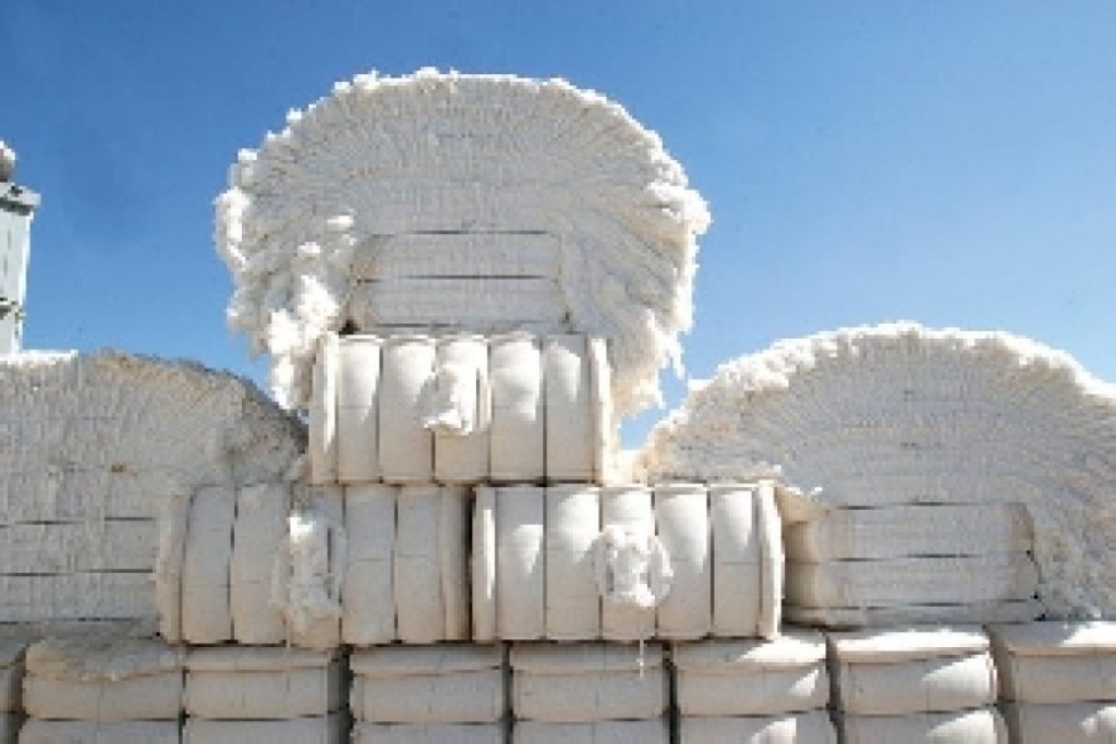 USDA estima produção de algodão do Brasil em 14,7 milhões de fardos