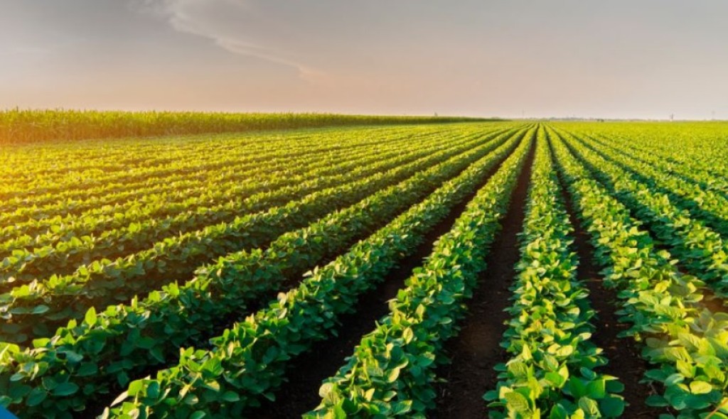 Tendências para o agronegócio brasileiro em 2023 são promissoras, diz FGV