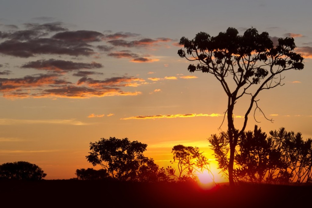 Banco Mundial e BNDEs destinam R$ 9,3 milhões para 16 projetos no Cerrado