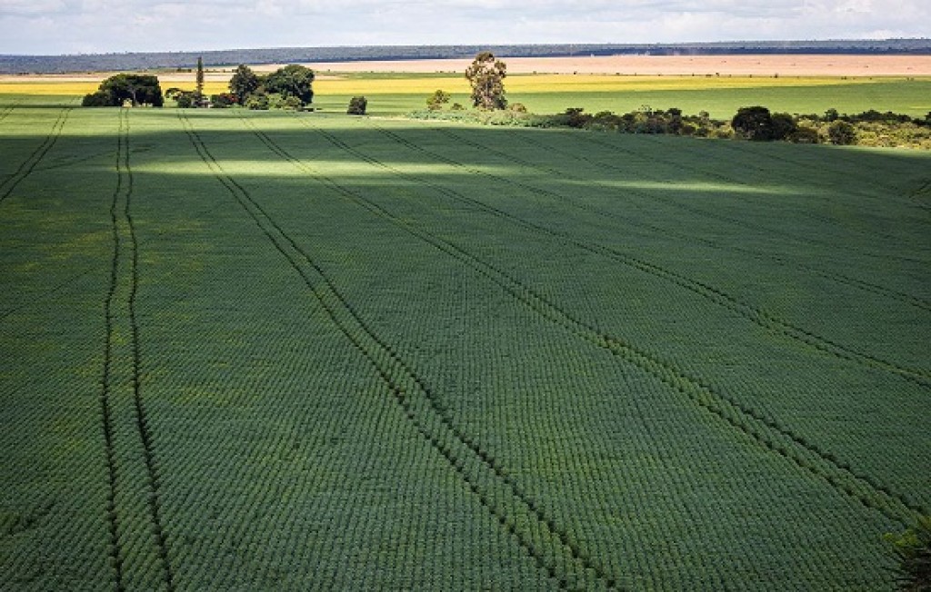 Agronegócio enfrenta o desafio de ampliar a produção as perspectivas de futuro da população