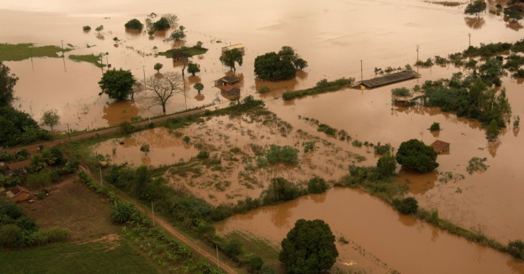 Granjas do sudoeste paranaense são destruídas pela chuva