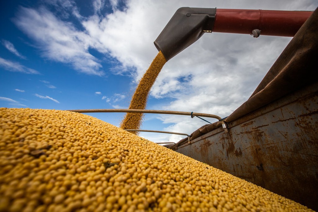 Exportações de produtos do agronegócio atingiram R$ 66,22 bilhões em novembro