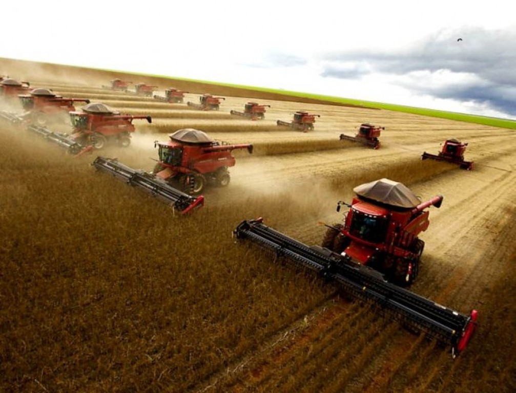 Agronegócio brasileiro deve atingir R$ 1 trilhão em 2023: 10% do PIB