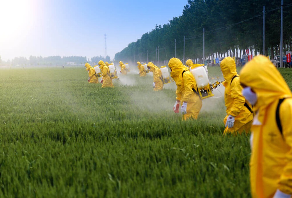 Governo publica novas normas para o registro de defensivos agrícolas
