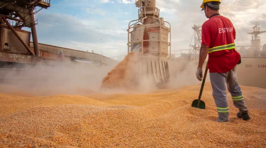 Conab aponta crescimento de 28% nas exportações de milho e soja até setembro