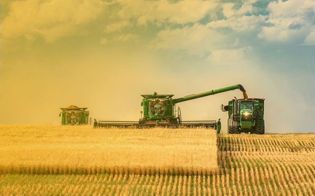 Crédito rural do plano safra 23/24 atinge R$ 373,4 bilhões, crescimento de 13%