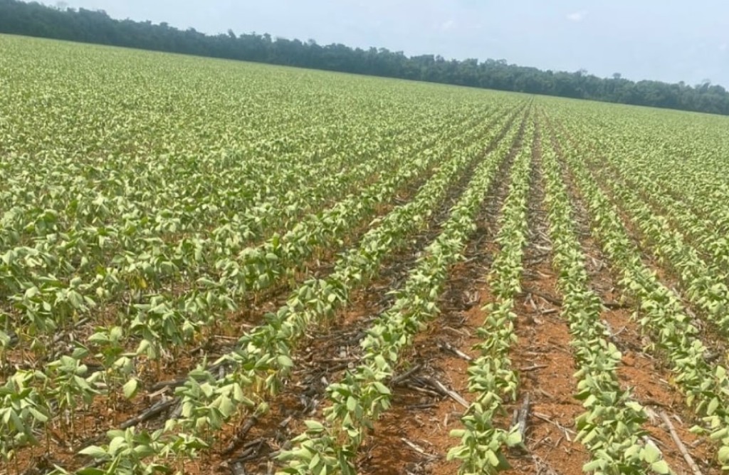 Mato Grosso segue sofrendo com a escassez de chuvas
