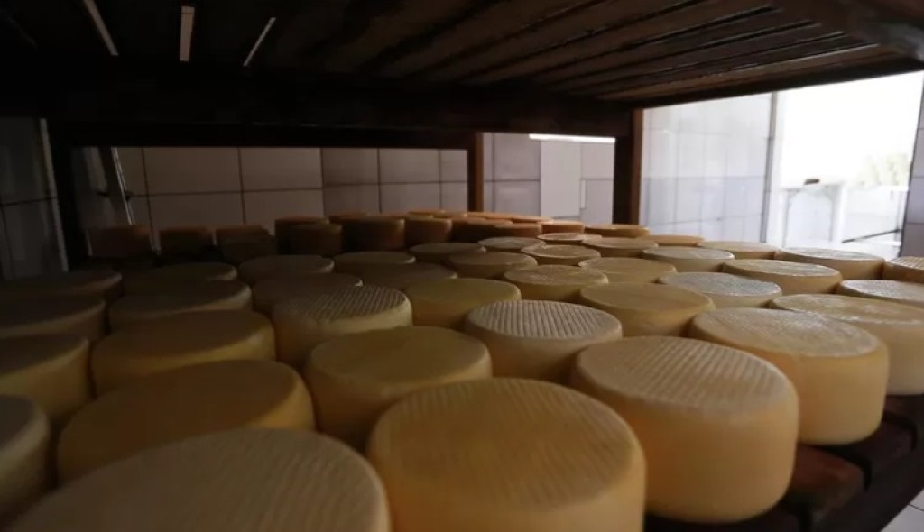 Minas é líder em municípios integrados à fiscalização de produtos de origem animal