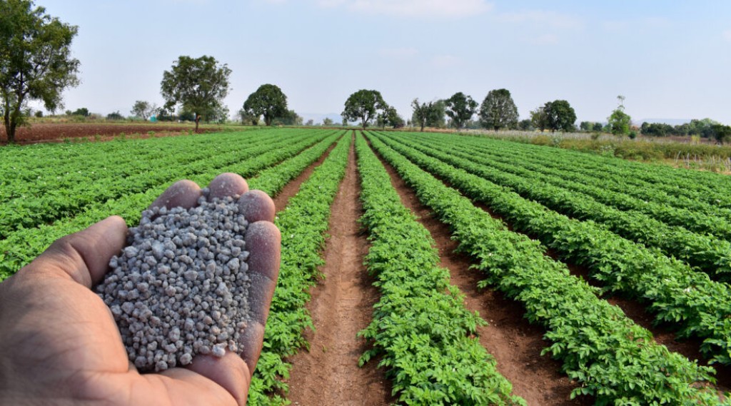 Fertilizantes de solo desempenham um papel crucial na agricultura
