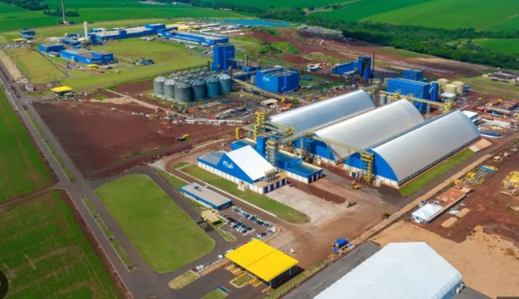 C.Vale investe R$ 1 bilhão em nova esmagadora de soja