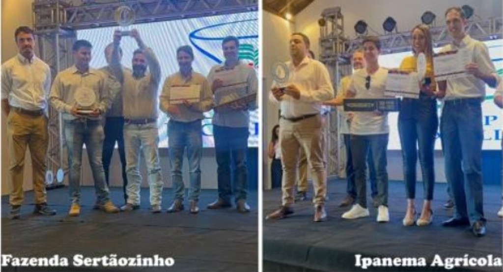 Cafés produzidos em Minas e São Paulo são premiados em concurso de qualidade mundial
