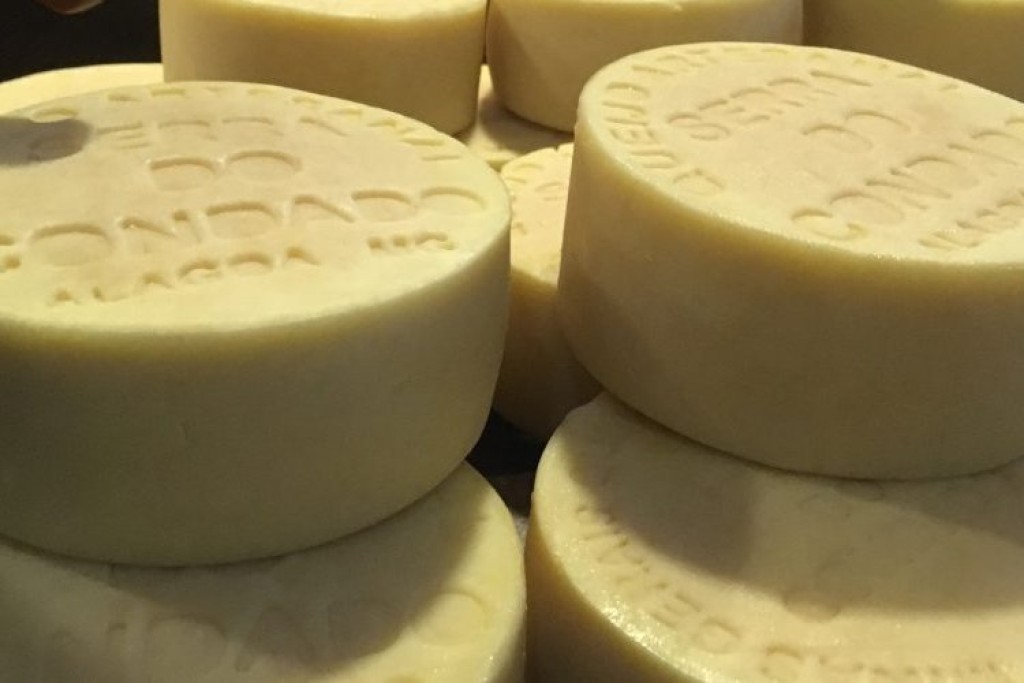 Alagoa promove concurso de melhor queijo