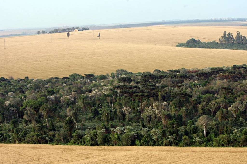 Atenção: prazo de inscrição no Cadastro Ambiental Rural termina dia 31
