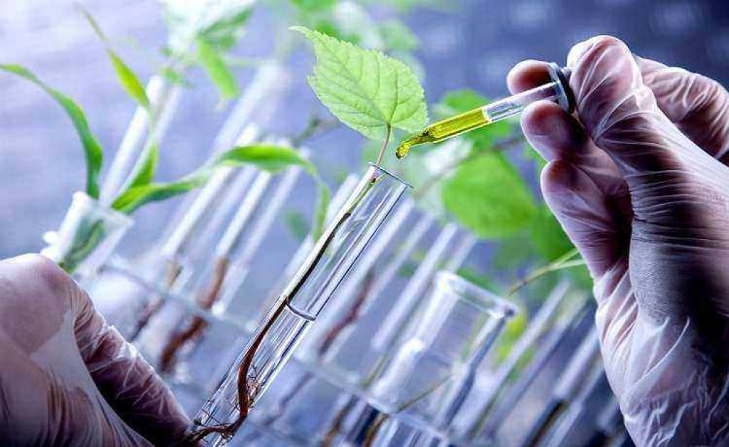 Senado aprova regulamentação de bioinsumos agrícolas. Mercado pode atingir R$ 20 bi até 2030