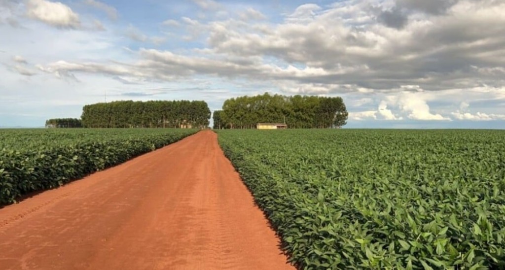 Abertura Nacional do Plantio da Soja 23/24 será nesta sexta-feira em Jaciara