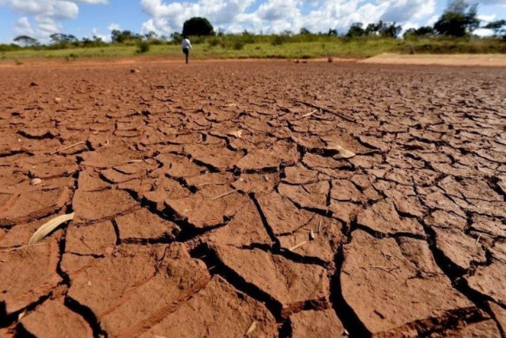 Minas Gerais: seca afeta 326 mil produtores rurais de 241 municípios