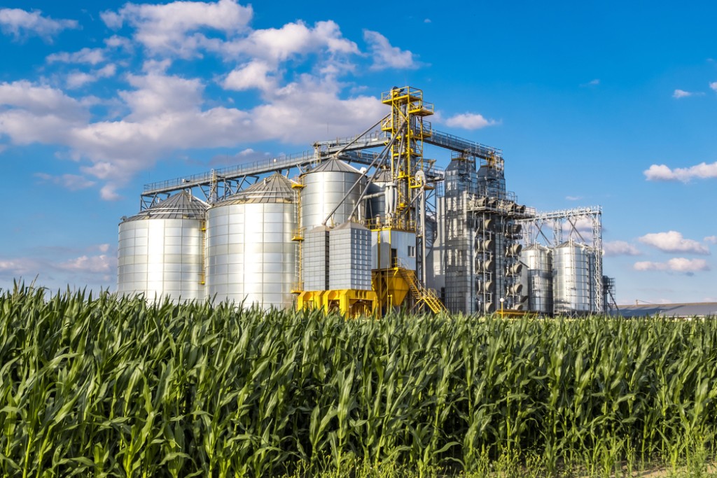 Relatório da FGV mostra que agroindústria pode ter desempenho positivo em 2023
