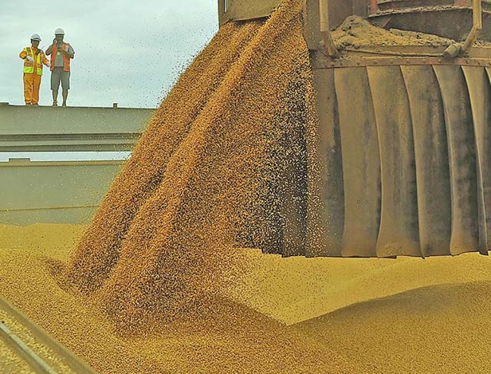 Agronegócio brasileiro exportou 31,8% a mais em outubro: recorde de US$ 8,959 bilhões