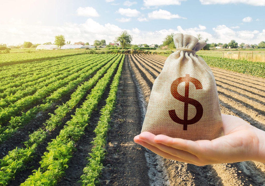 BNDES emprestou R$ 40,6 bilhões no primeiro semestre; 54% a mais para o agronegócio