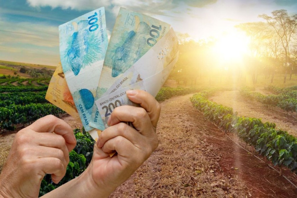 Crédito rural chega a R$ 270 bilhões em 7 meses do Plano Safra 2023/24