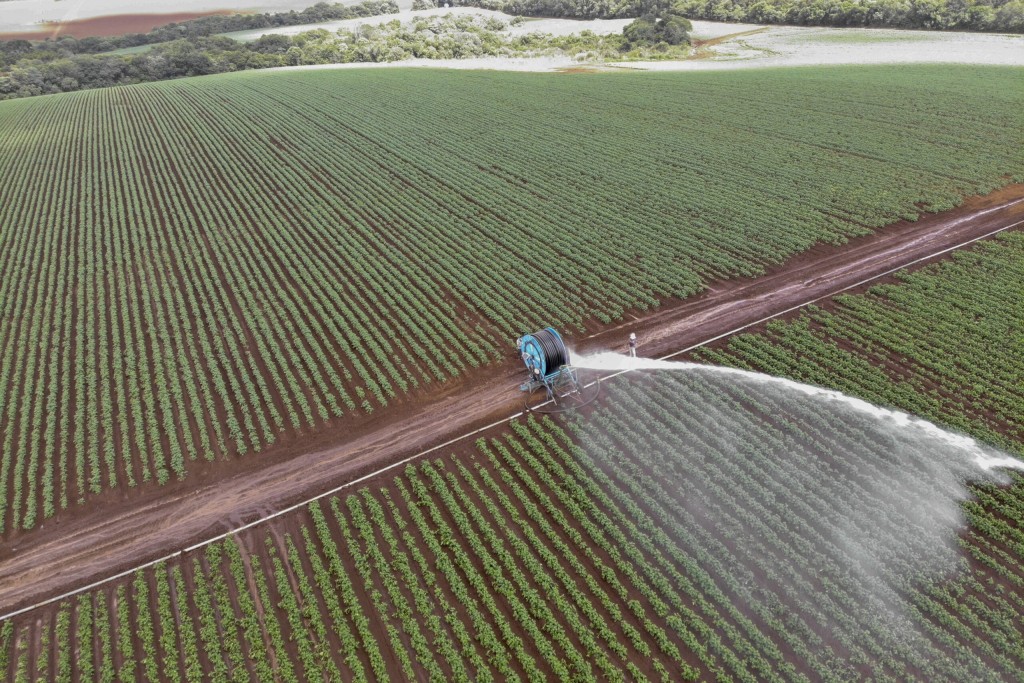 Banco do Agricultor já financiou R$ 646 milhões no Paraná