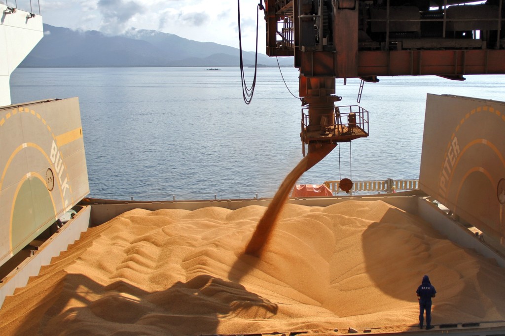 Brasil deve exportar 100 milhões de toneladas de soja em 2024
