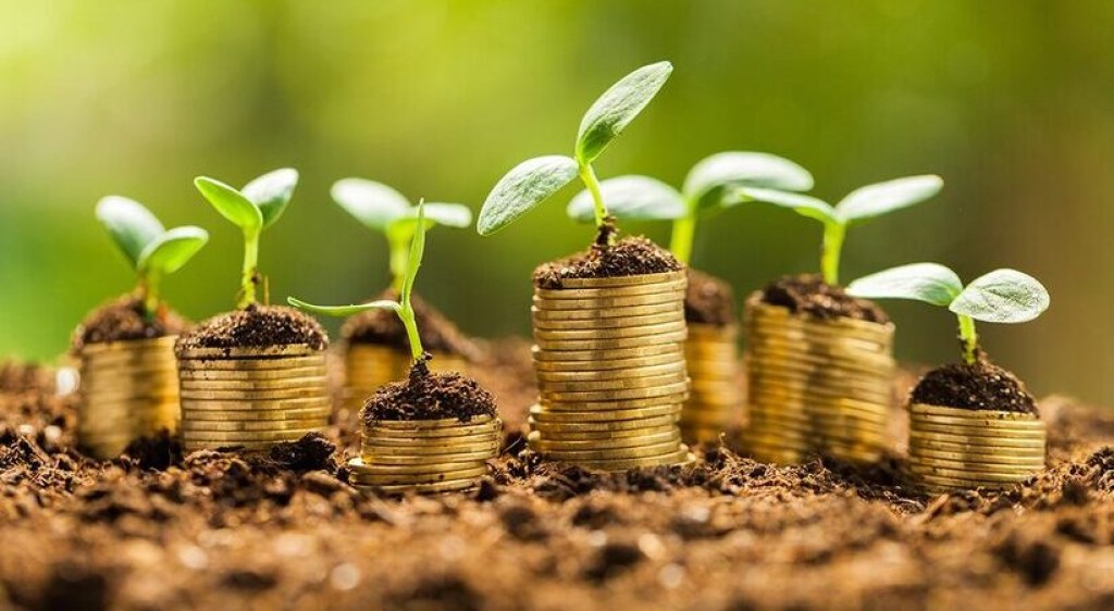 CPR-Verde impulsiona mercado e produtor rural passa a ganhar dinheiro por preservar meio ambiente