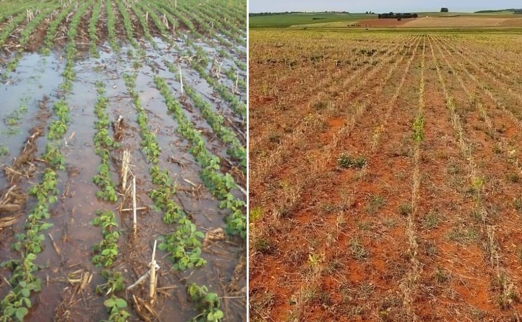 Mapa publica zoneamento agrícola para reduzir riscos relacionados a problemas climáticos