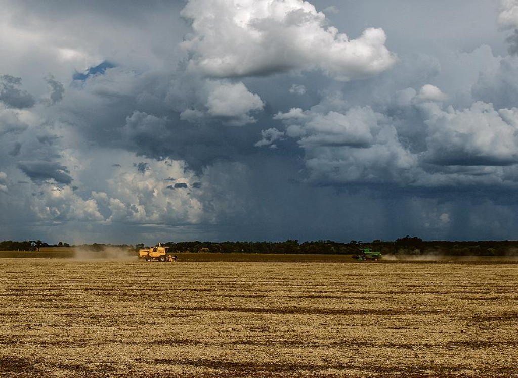 Intempéries climáticas atrasam o plantio da safra 23/24