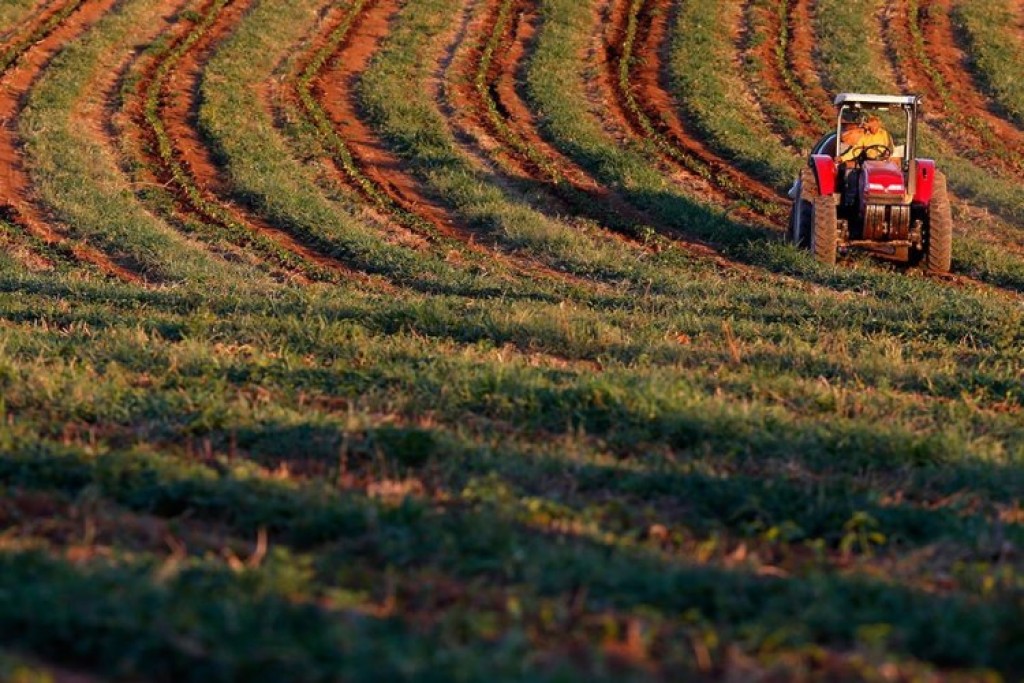 Busca pelo crédito rural cresce 14% em Minas
