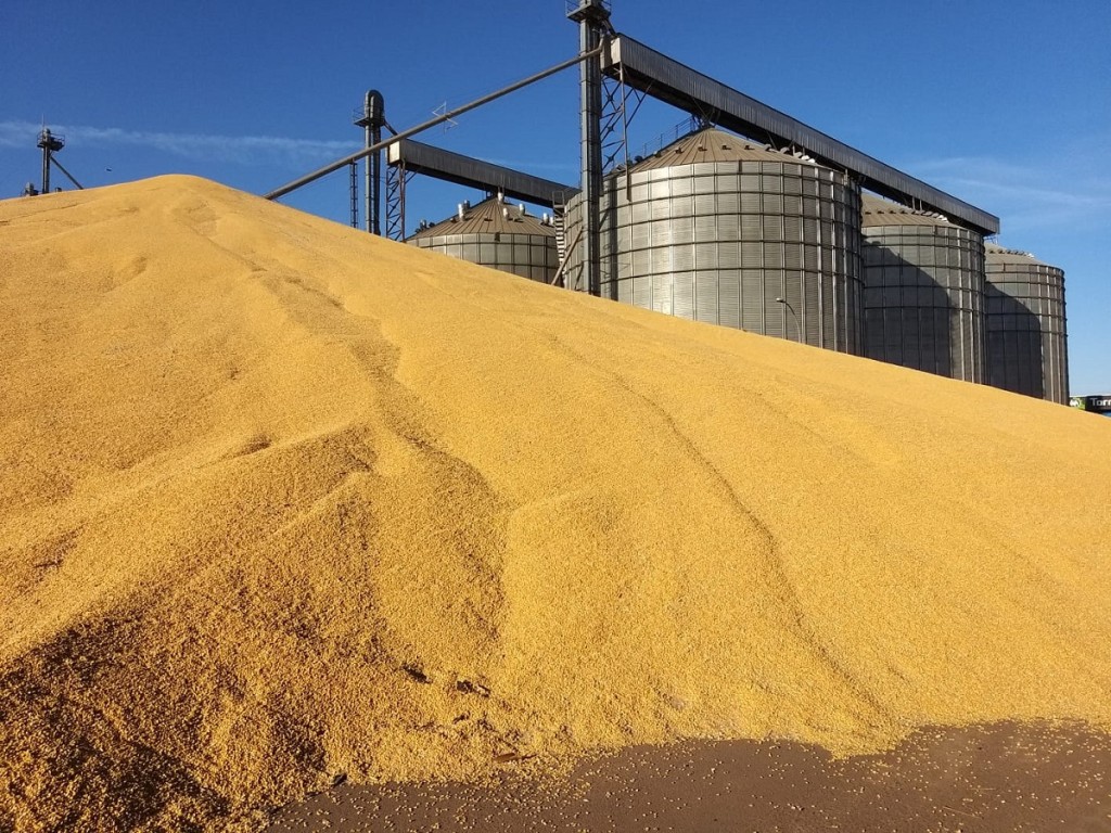 Comissão da Câmara aprova suspensão de tributos para silos: 61% dos produtores rurais não tem onde por a colheita