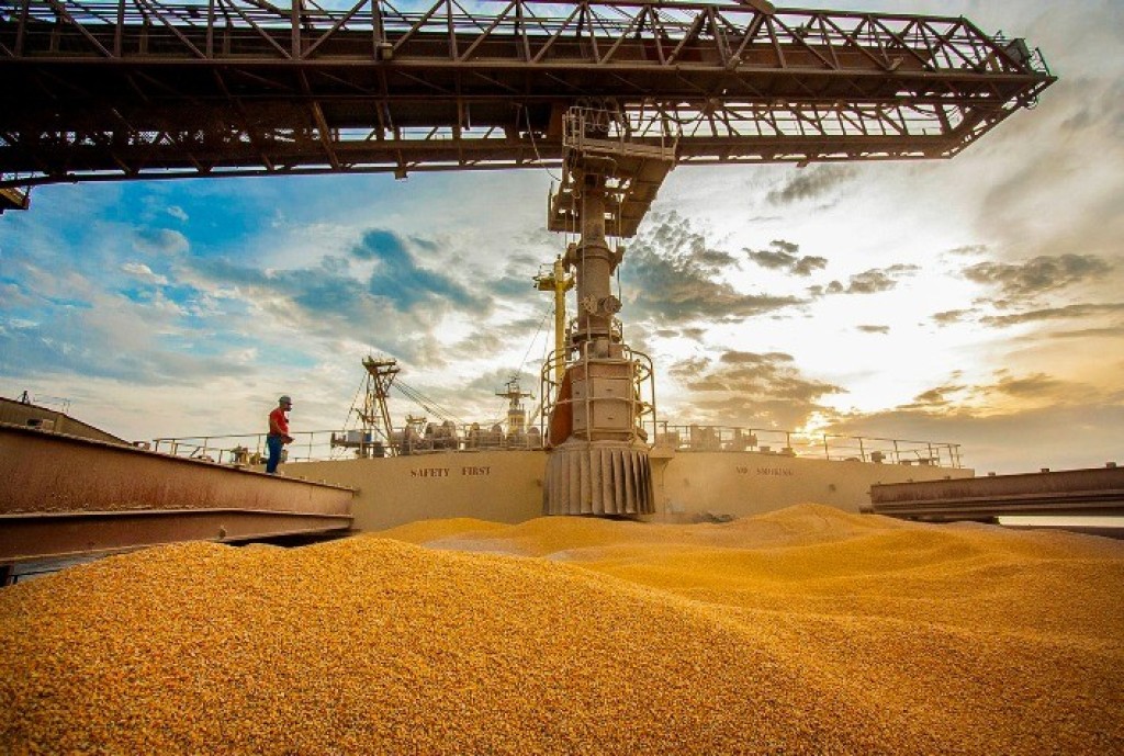 Brasil deve embarcar 7,958 milhões de toneladas de milho em novembro
