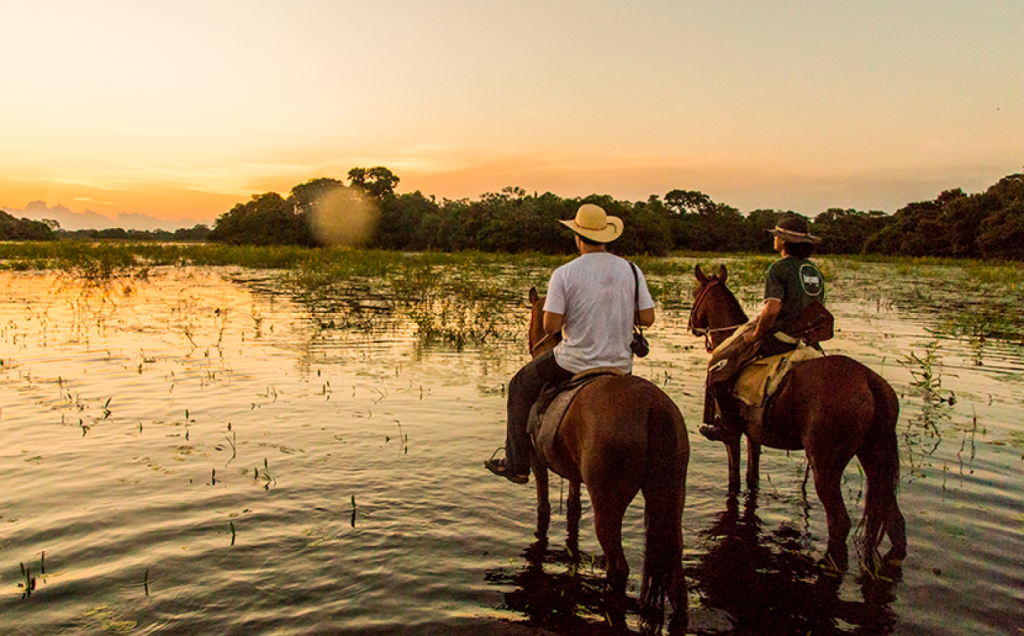 Ministério da Agricultura e Banco Interamericano vão investir R$ 2 bilhões no Pantanal