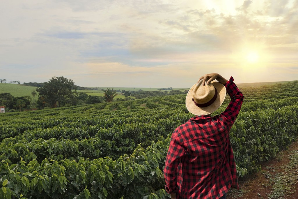 Programa “desenrola rural” vai ajudar produtores a voltar a ter acesso ao crédito