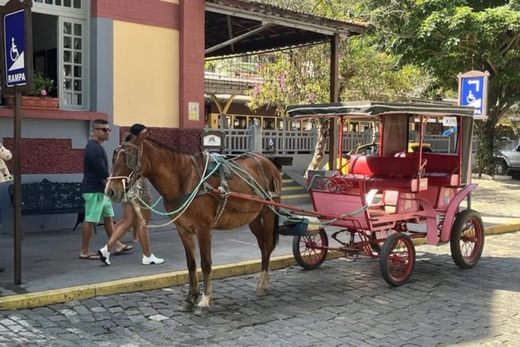 Charretes proibidas em São Lourenço