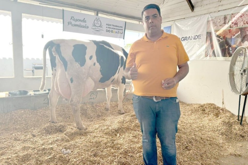 Vaca quebra recorde mundial de produção