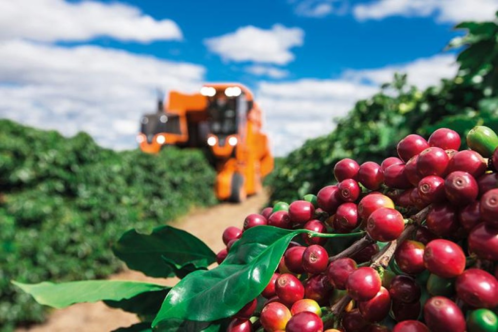 Alagoas sedia o 29º Encafé até domingo. Cafeicultores têm crédito de R$ 6,3 bilhões