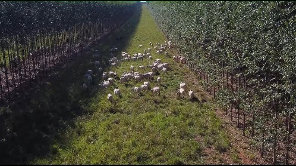 3º Fórum Planeta Campo 2023 será quinta em São Paulo