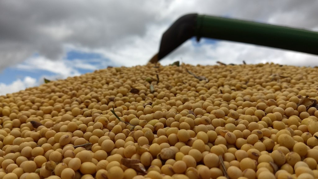 EUA reconhecem o Brasil como campeão mundial na produção de soja