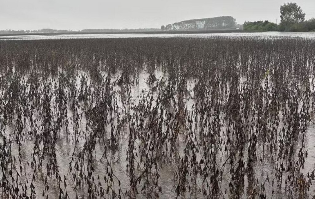 Sistema CNA/Senar realiza ação de ajuda na reconstrução do Rio Grande do Sul