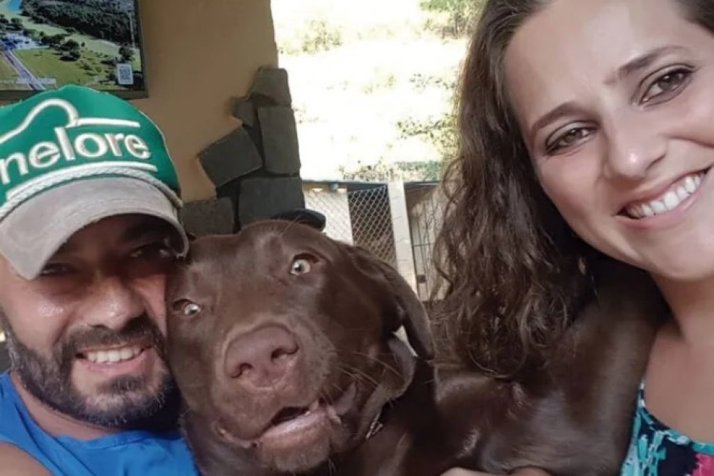 Juiz de Fora tem serviço funerário para pets