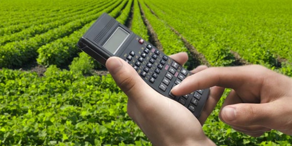 IBGE: agronegócio continua impulsionando o PIB brasileiro