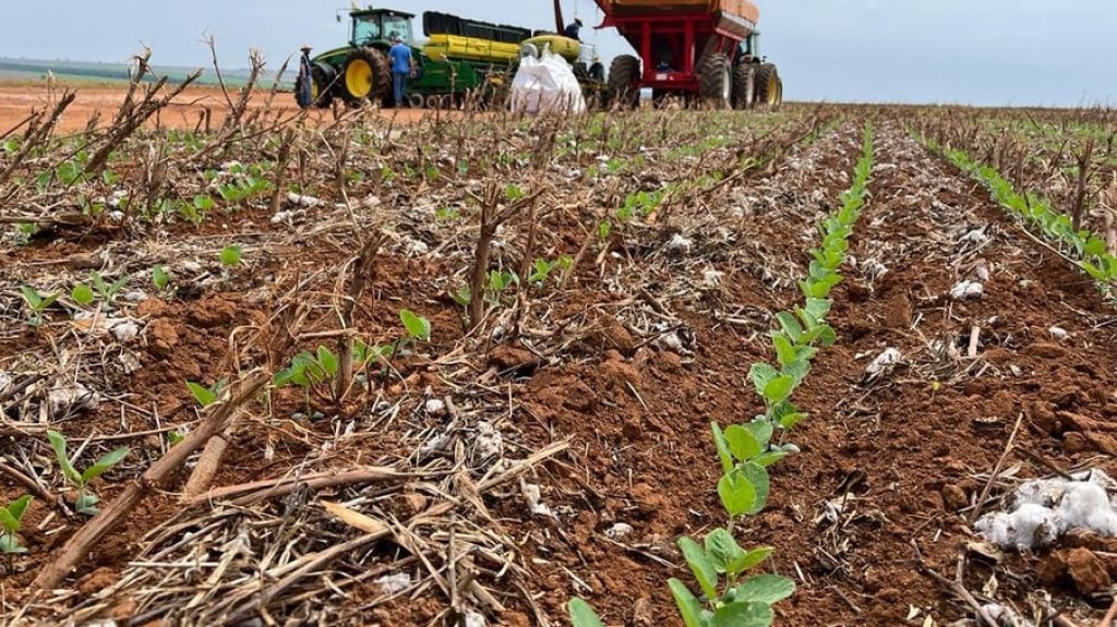 Plantio da soja atinge 88%, mas segue atrasado por conta do clima