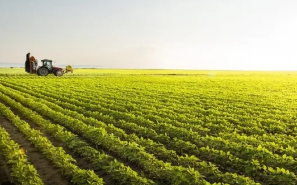 Dia da Agricultura: entidade lembram a importância do setor na produção de alimentos para o mundo