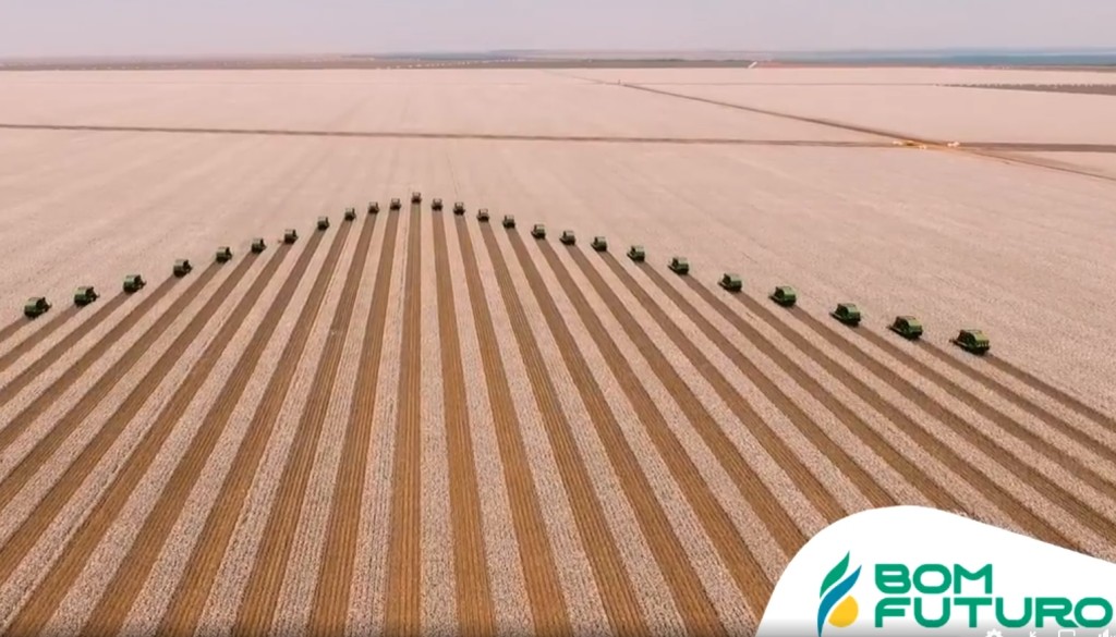 Conab: Mato Grosso terá safra recorde de 100 milhões de toneladas, igual ao Brasil em 20/21