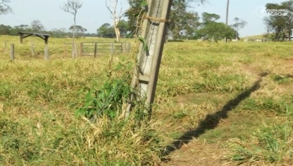 Produtores reclamam de falta de manutenção da eletrificação rural