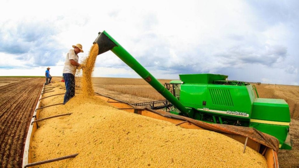 Safra brasileira de grãos 2019/20 deve alcançar 250,87 milhões de toneladas, segundo a Conab